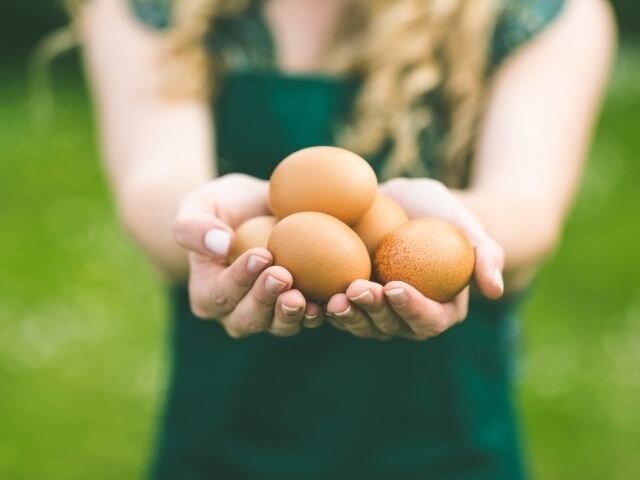 Le uova: proprietà e valori nutrizionali