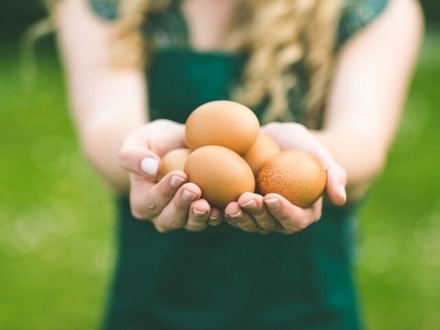 Le uova: proprietà e valori nutrizionali Le uova: proprietà e valori nutrizionali